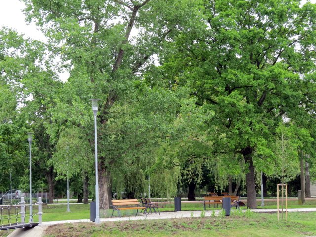 A Város Napja 2019 077